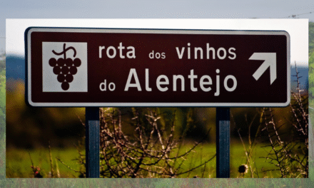Wine Folly: plataforma americana e referência mundial em vinhos lança série sobre o Alentejo