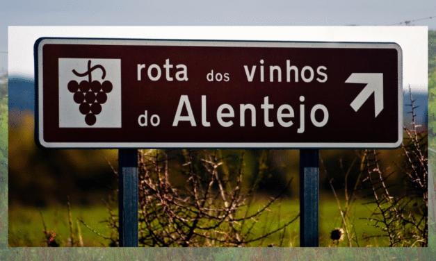 Wine Folly: plataforma americana e referência mundial em vinhos lança série sobre o Alentejo