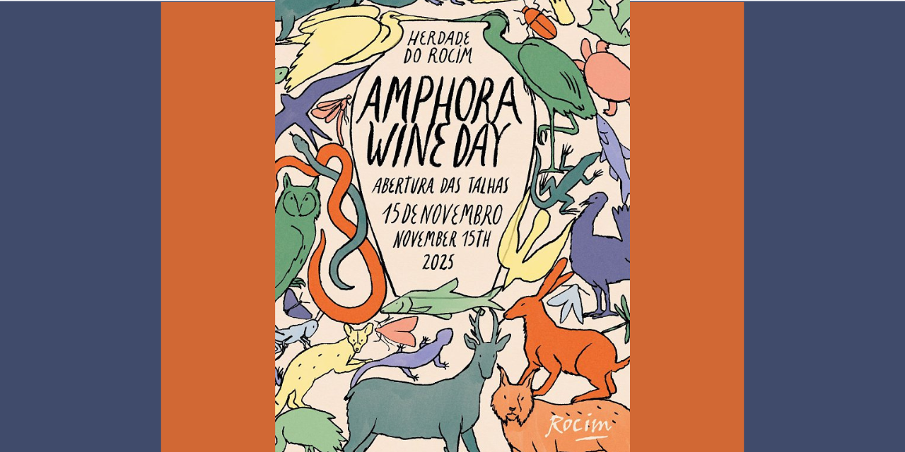 Amphora Wine Day|Viva o Vinho