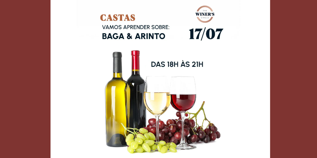 Formação castas Arinto e Baga|Viva o Vinho
