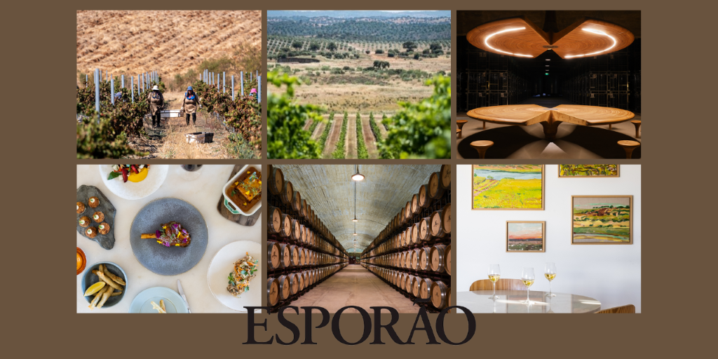 Vindimas Herdade do Esporão|Viva o Vinho
