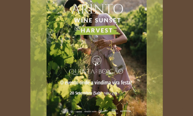 Arinto Wine Sunset & Harvest
