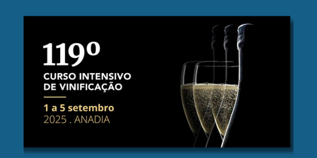 Curso Intensivo de Vinificação|Viva o Vinho