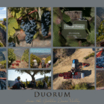 Duorum realiza a sua primeira vindima na nova adega em Vila Nova de Foz Côa