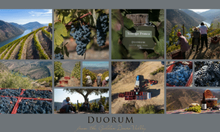 Duorum realiza a sua primeira vindima na nova adega em Vila Nova de Foz Côa