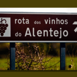 Enoturismo: no Alentejo há programas de vindimas para todos os gostos