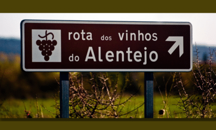Enoturismo: no Alentejo há programas de vindimas para todos os gostos