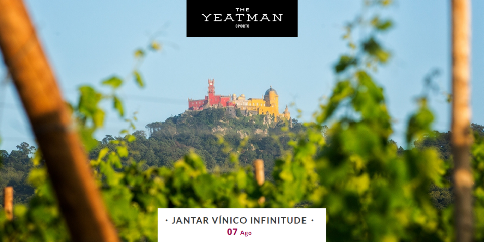 Jantar Vínico Infinitude|Viva o Vinho