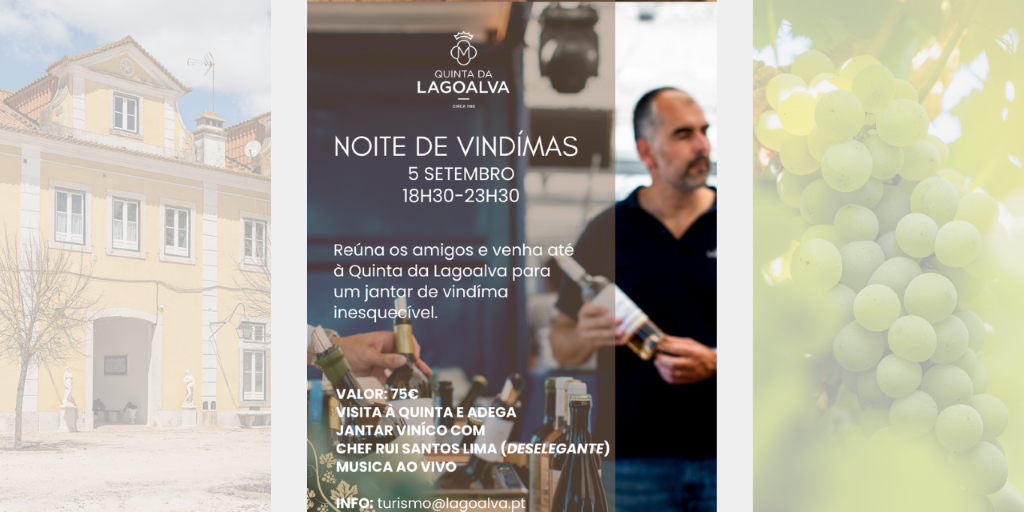 Noite de Vindima na Lagoalva 2025|Viva o Vinho
