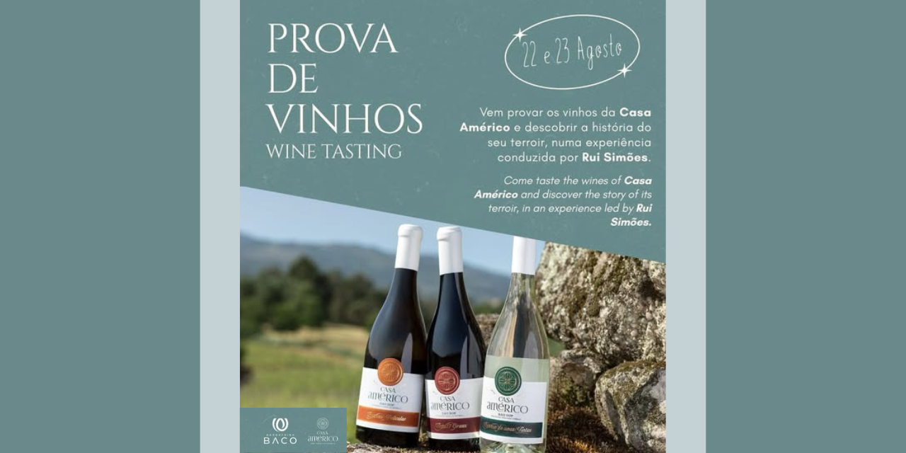 Prova Casa Américo|Viva o Vinho