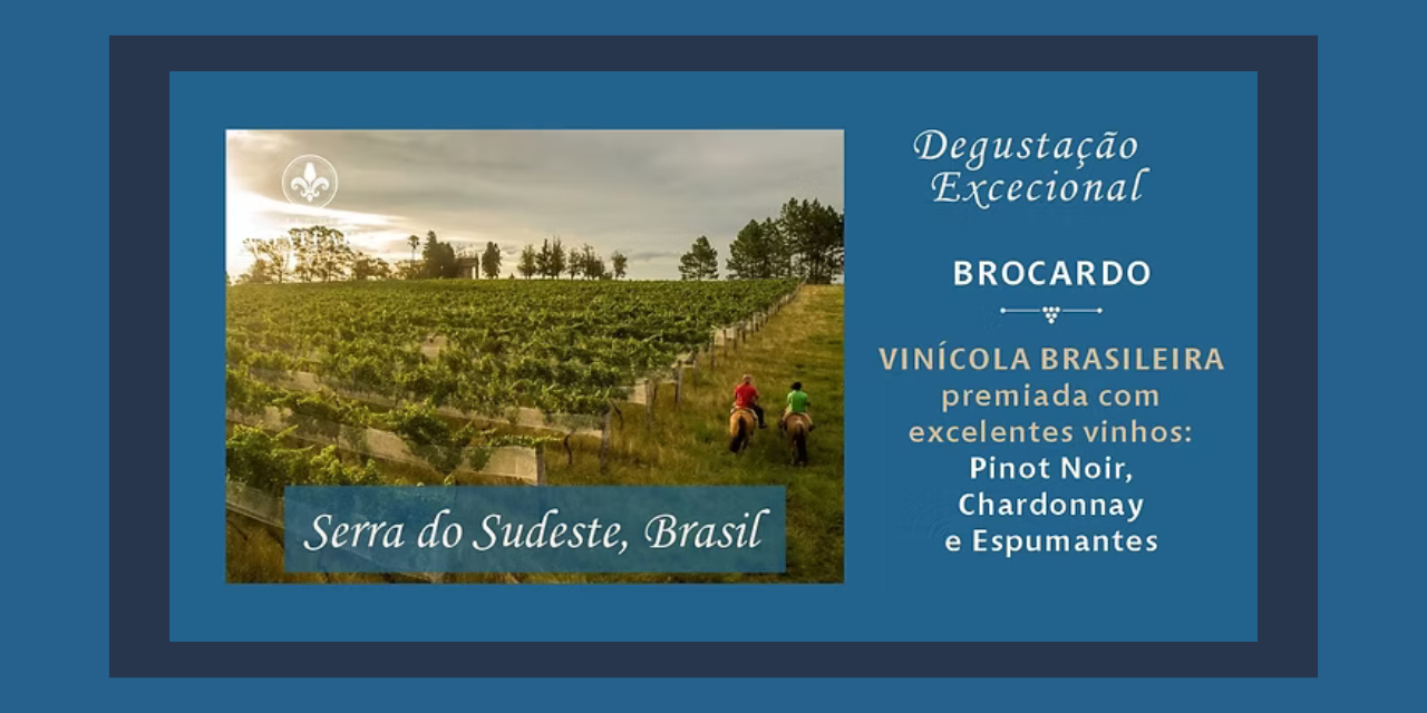Prova Vinhos Brocardo|Vi va o Vinho