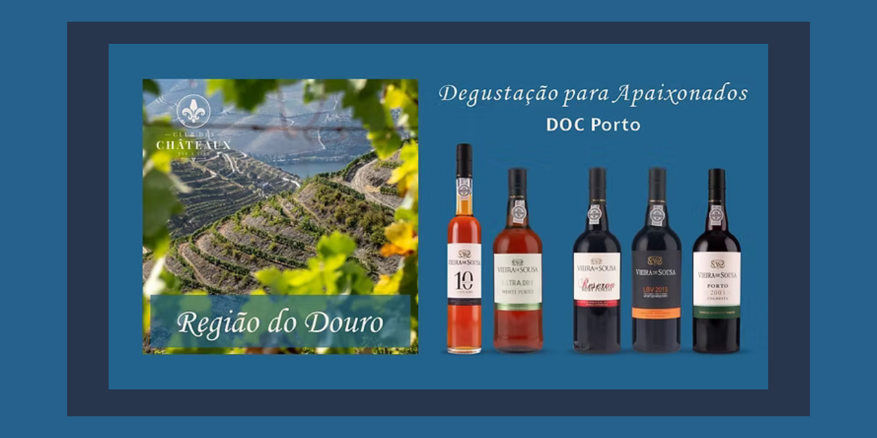 Prova Vinhos do Porto|Vi va o Vinhos
