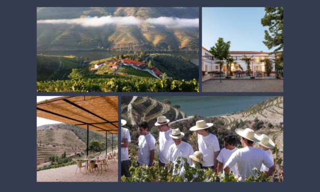 Um dia na Vindima da Quinta Nova – Douro