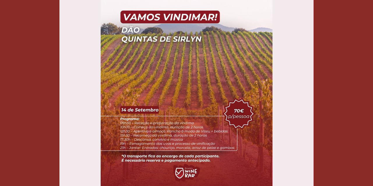 Vindima Quintas de Sirlyn|Viva o Vinho