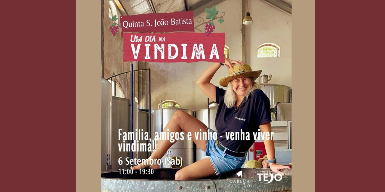 Vindima na Quinta São João|Viva o Vinho
