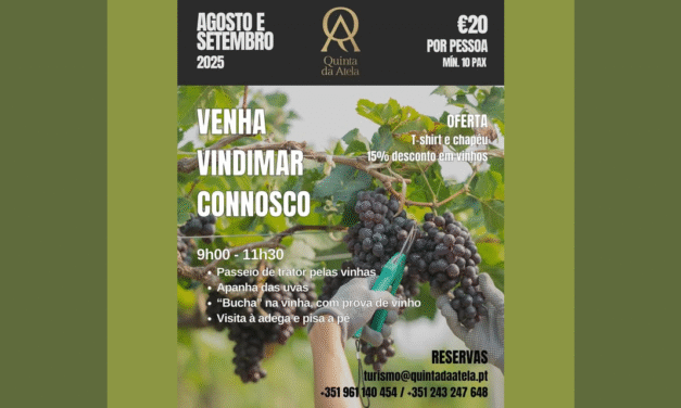 Vindimas Quinta da Atela