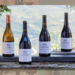 Vinhos Quinta Vale D. Maria entre os melhores do mundo
