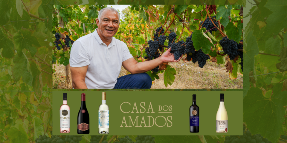 Casa dos Amados: o projeto autoral do premiado enólogo Osvaldo Amado une tradição e inovação em vinhos que agora chegam ao Brasil