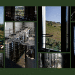 Novo investimento: Centro de Vinificação do Vale do Douro já arrancou para a primeira vindima