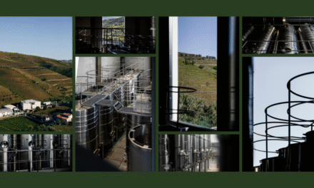 Novo investimento: Centro de Vinificação do Vale do Douro já arrancou para a primeira vindima