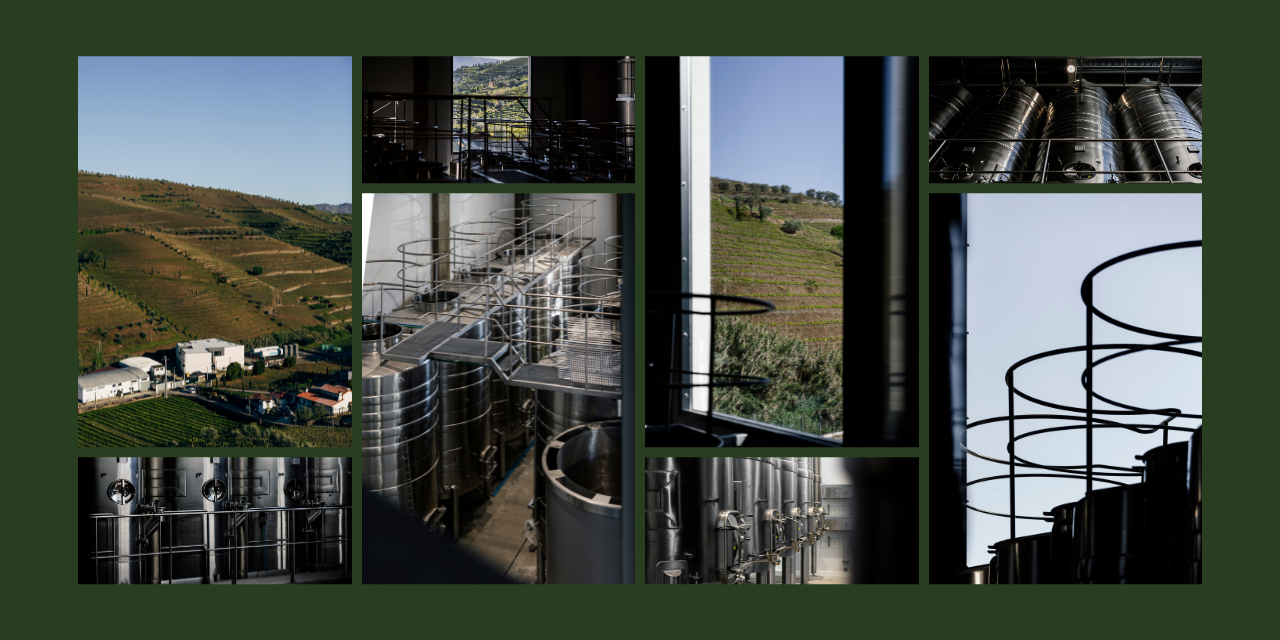 Novo investimento: Centro de Vinificação do Vale do Douro já arrancou para a primeira vindima