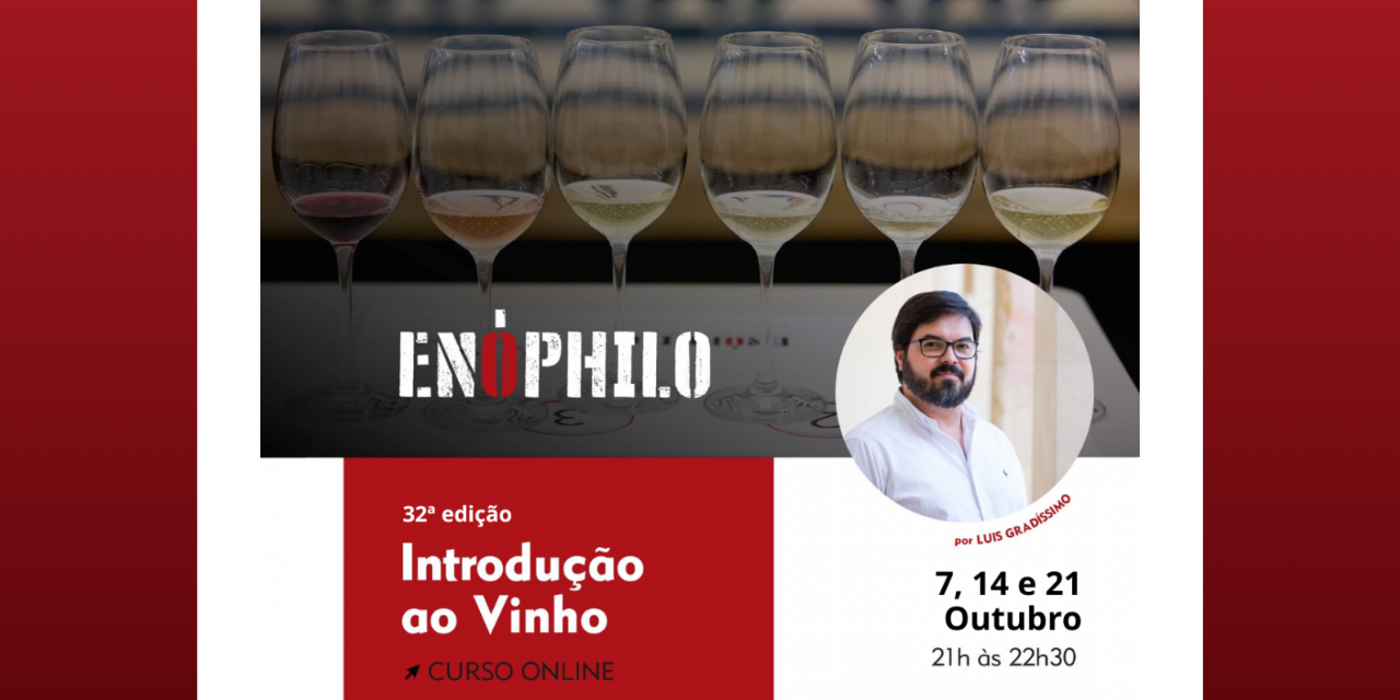 Curso Introdução ao Vinho|Viva o Vinho