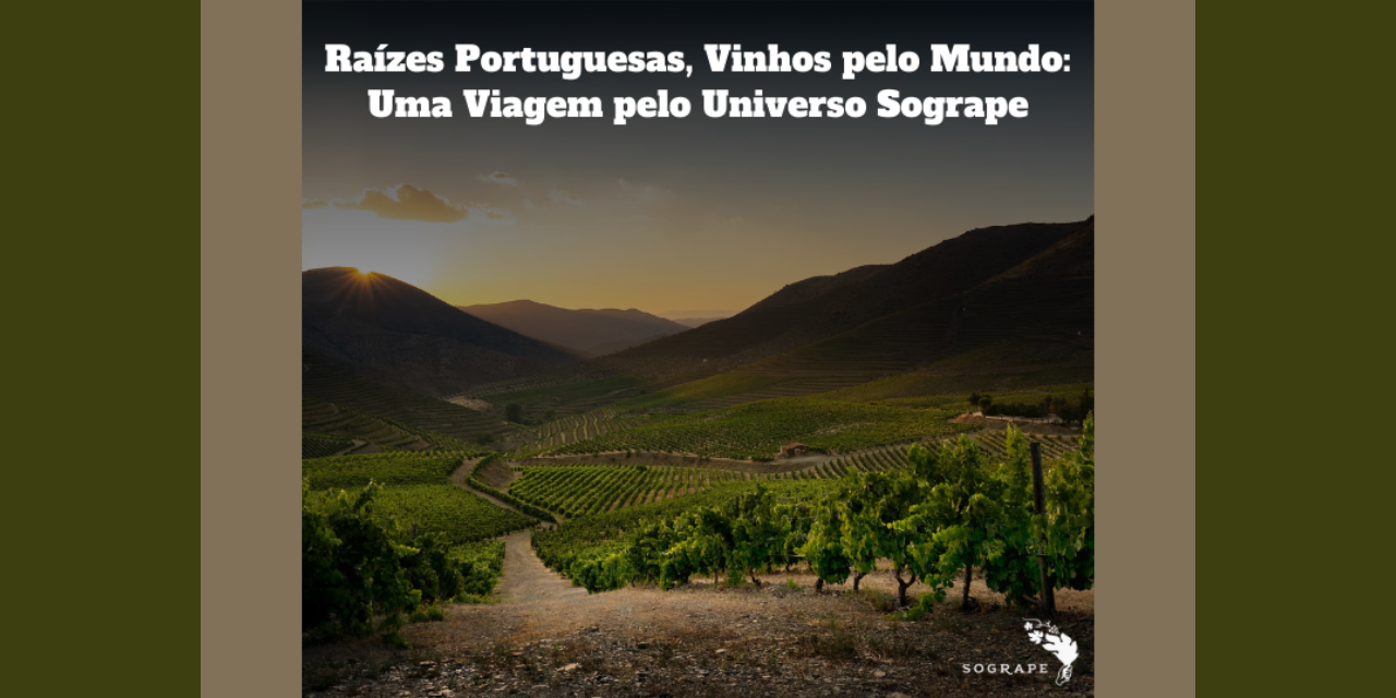 Masterclass Raízes Portuguesas|Viva o Vinho