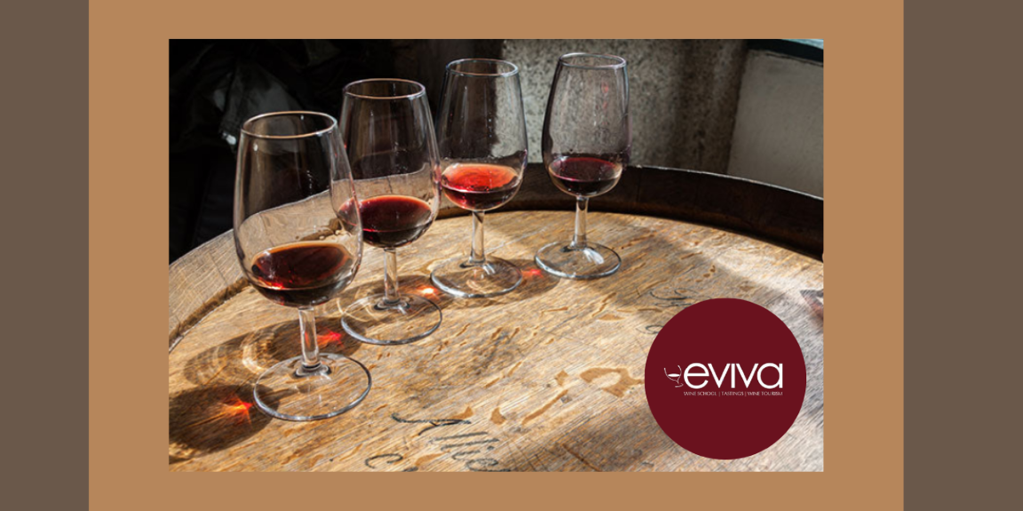 Masterclass Vinhos do Porto|Viva o Vinho