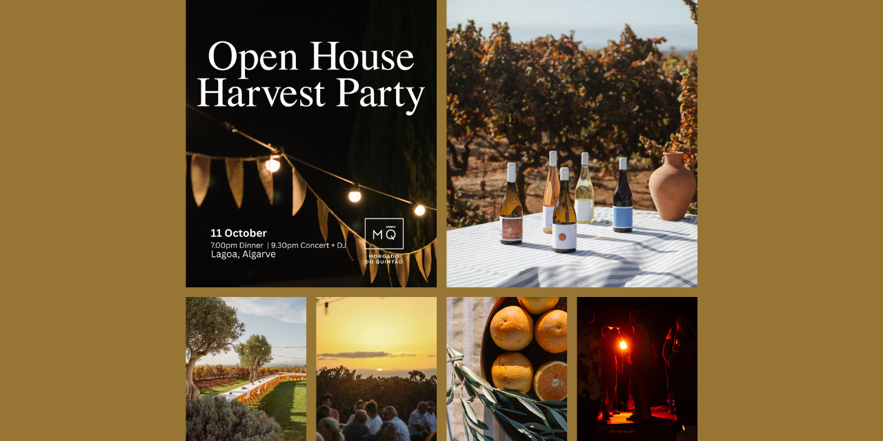 Open House Harvest Party 2025|Viva o Vinho