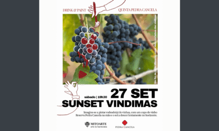 Sunset Drink & Paint nas Vindimas