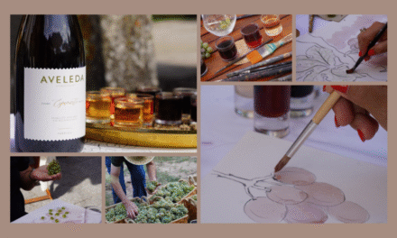 Vindim’Art 2025 – Quinta da Aveleda