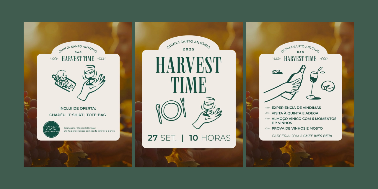 Vindimas Quinta de Santo António|Viva o Vinho