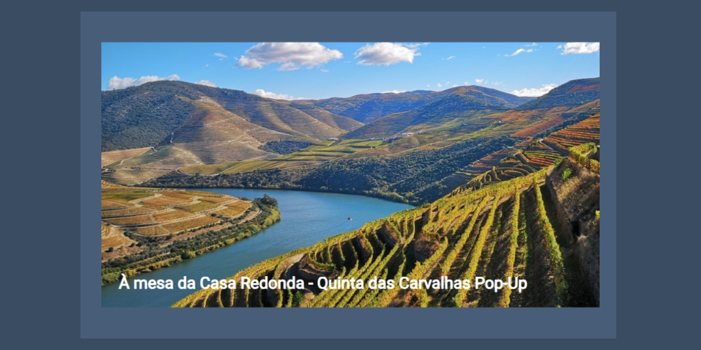 À Mesa da Casa Redonda |Viva o Vinho