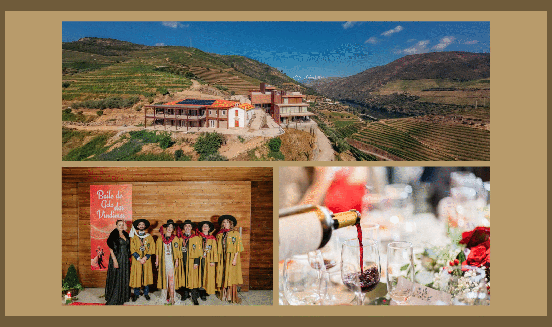 Baile e Jantar de Gala das Vindimas do Douro têm vertente solidária e realizam-se na Quinta São José do Barrilário