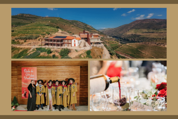 Baile e Jantar de Gala do Douro|Viva o Vinho