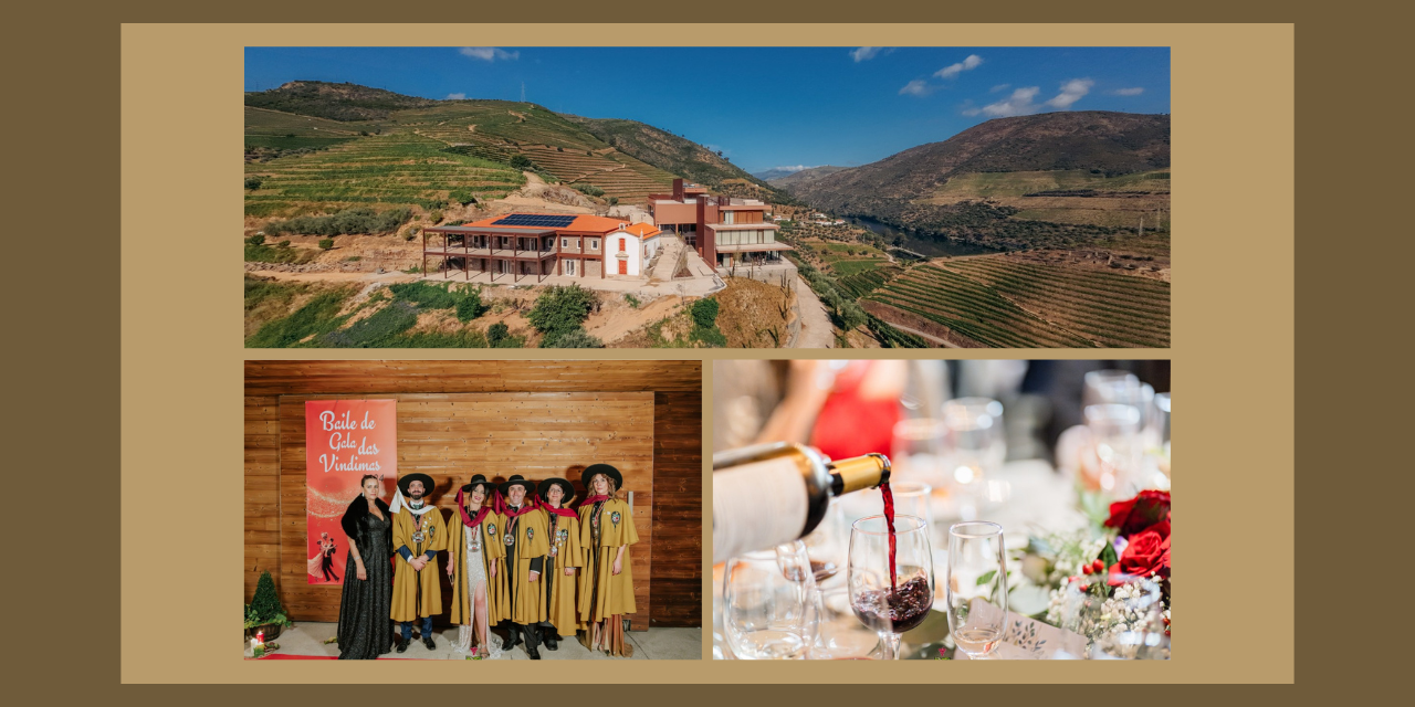 Baile e Jantar de Gala das Vindimas do Douro têm vertente solidária e realizam-se na Quinta São José do Barrilário