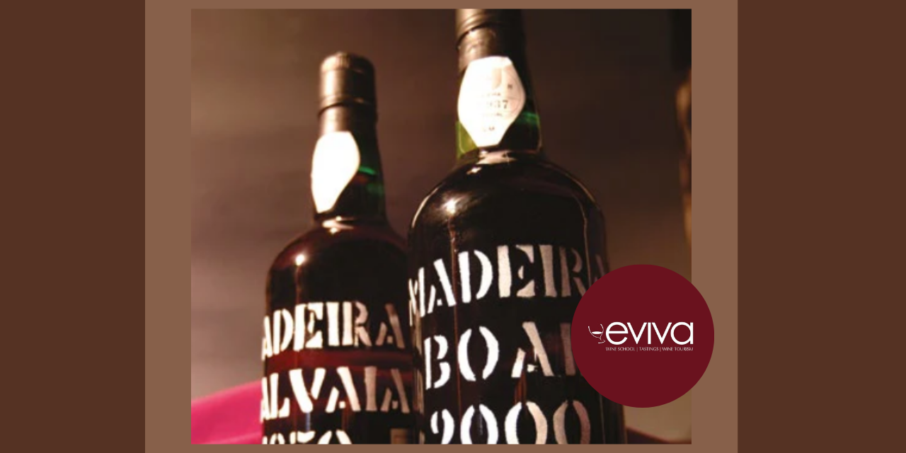 Masterclass Vinhos da Madeira|Viva o Vinho
