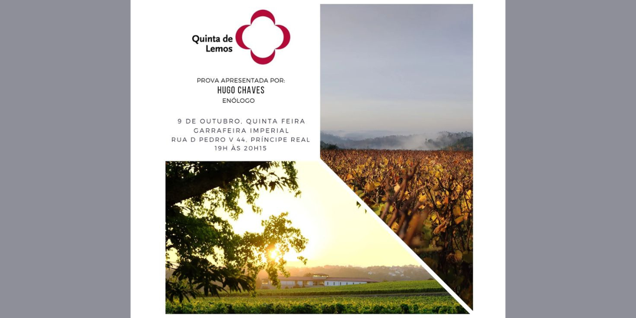 Prova Quinta de Lemos|Viva o Vinho