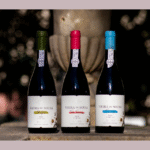 Douro: Vieira de Sousa estreia monocasta de Tinto Cão e completa trilogia de edições limitadas