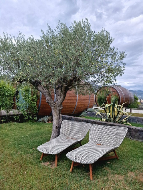 Quinta da Barrica - Vista Barrica e Varanda