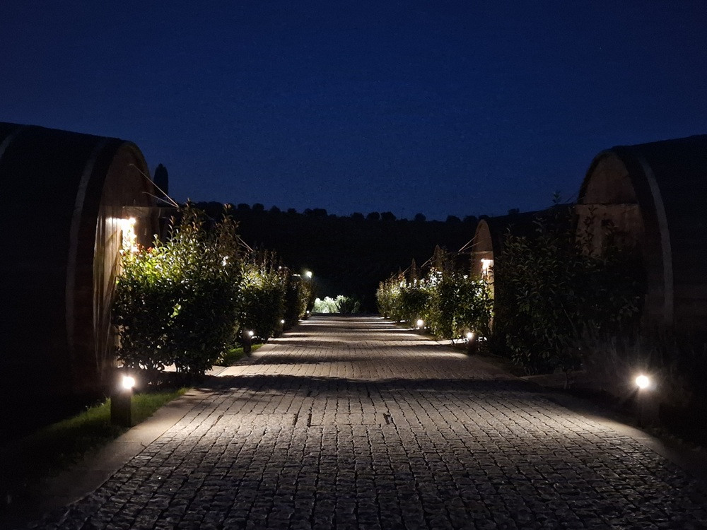 Quinta da Pacheca - Quartos em Pipas de Vinho