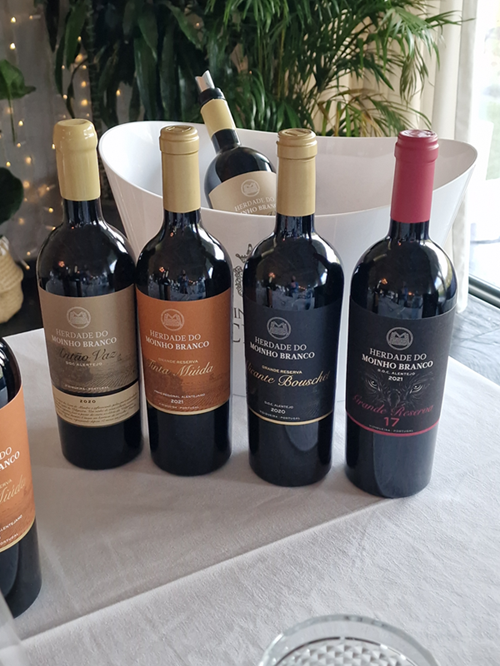 Quinta da Pacheca - Vinhos Alentejo - Herdade do Moinho Branco