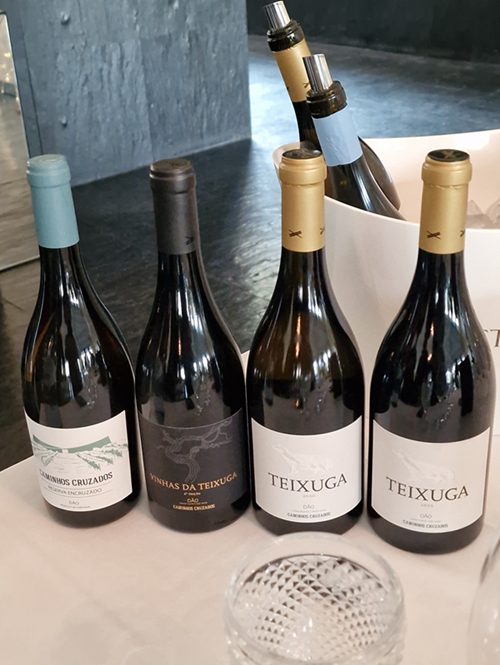 Quinta da Pacheca - Vinhos Dão