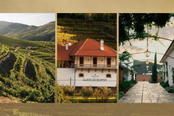 Quinta do Bomfim TOP 100|Viva o Vinho