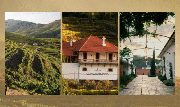 Quinta do Bomfim distinguida no TOP 100 “World’s Best Vineyards” e estreia no TOP 50 “Best Wineries”