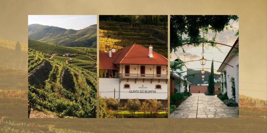 Quinta do Bomfim distinguida no TOP 100 “World’s Best Vineyards” e estreia no TOP 50 “Best Wineries”