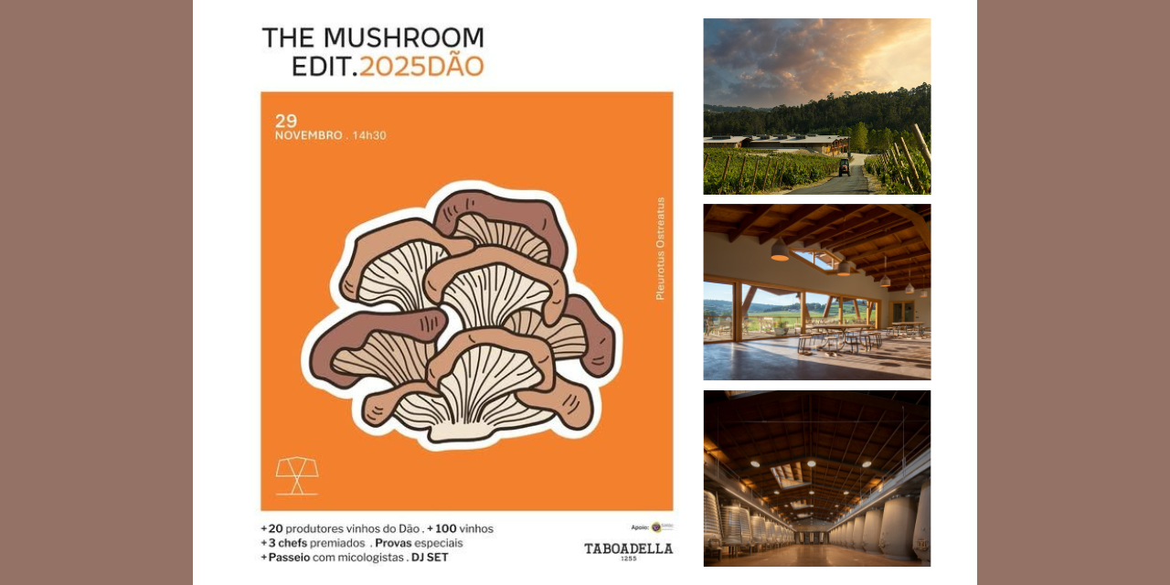 The Mushroom Edit|Viva o Vinho