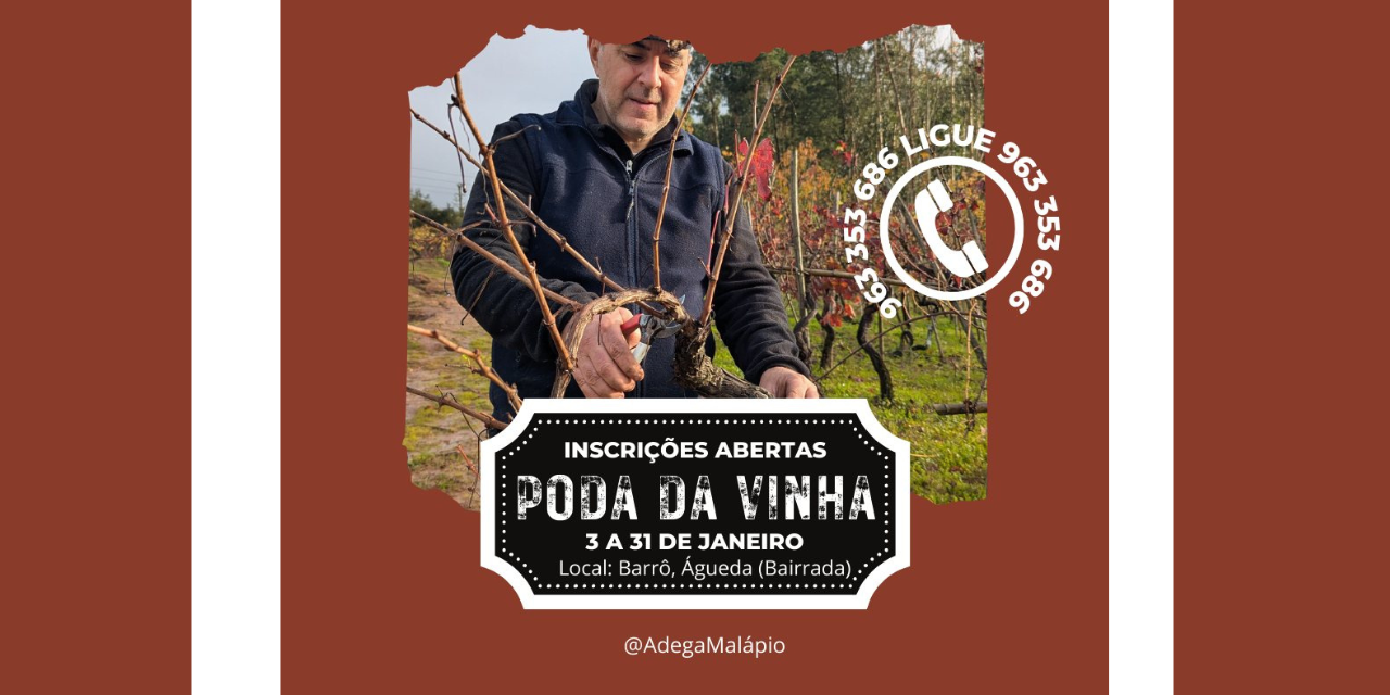 Poda da Vinha Adega Malápio|Viva o Vinho