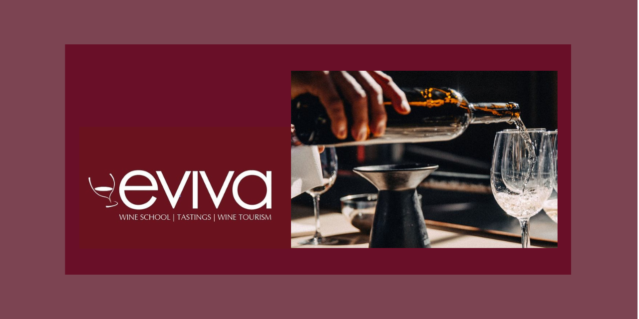 Formação Portugal Wine Expert|Viva o Vinho