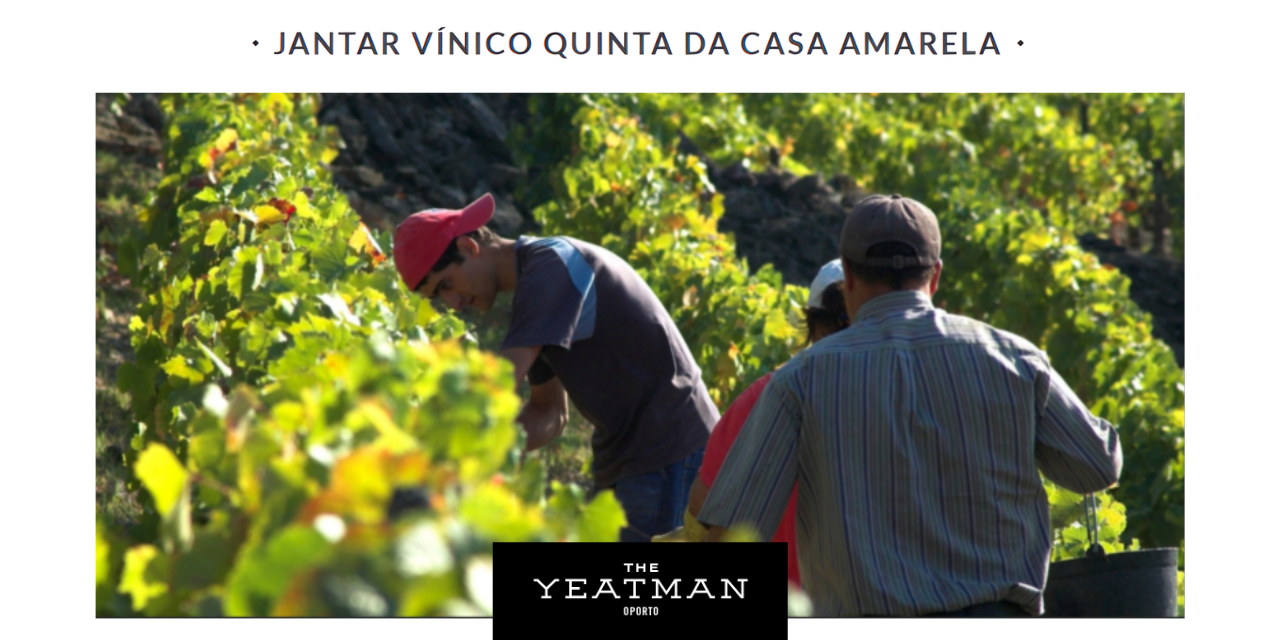 Jantar Vínico Quinta da Casa Amarela|Viva o Vinho